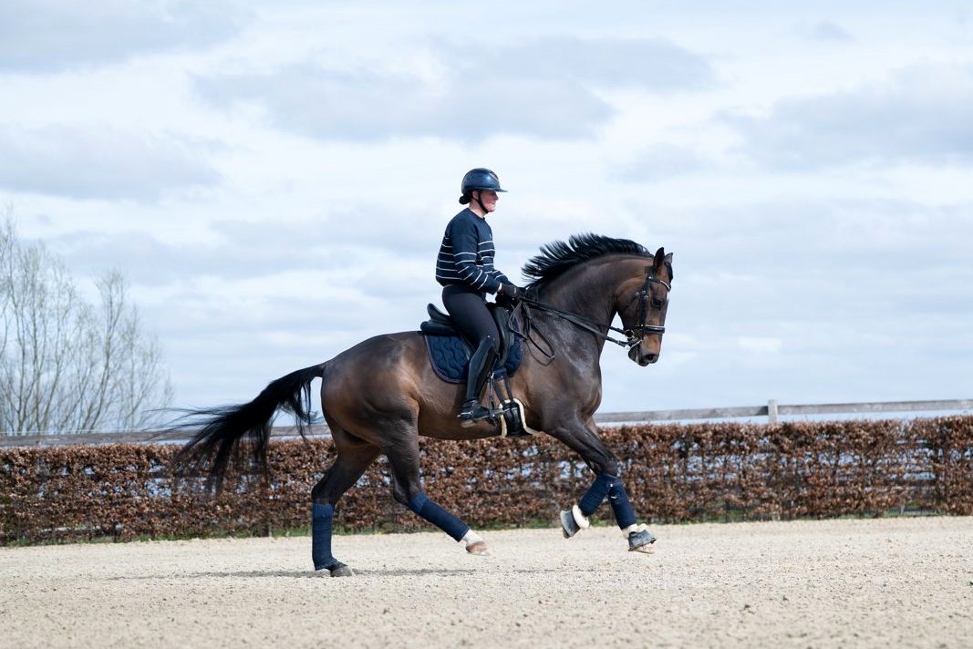 Cavalier au galop dans la carrière