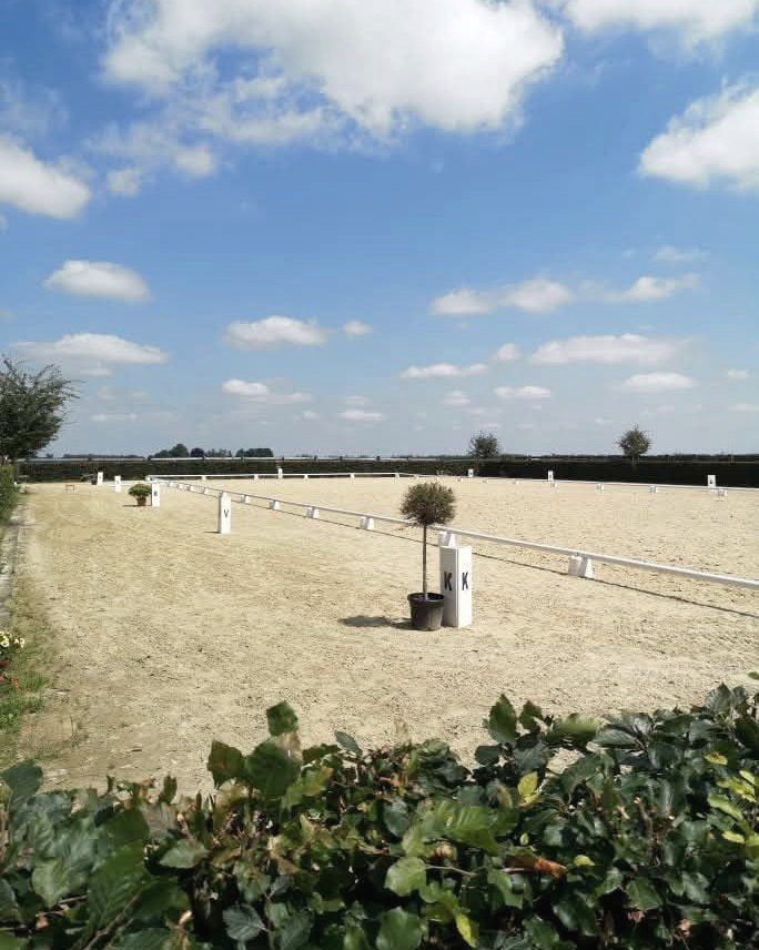 Carrière de dressage préparée pour un concours